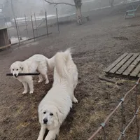 processed/8aec251f-c575-41e7-b689-87fd002f52c3/facility/6ce107dd-19a9-4132-becf-5ad736ba0fa8