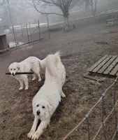 processed/8aec251f-c575-41e7-b689-87fd002f52c3/facility/6ce107dd-19a9-4132-becf-5ad736ba0fa8