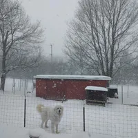 processed/8aec251f-c575-41e7-b689-87fd002f52c3/facility/a7a5d579-9671-4d8c-be88-7aa8b2d6578c