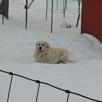 processed/8aec251f-c575-41e7-b689-87fd002f52c3/facility/ad93101b-64a4-4384-b969-2cb5d800c230