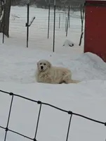 processed/8aec251f-c575-41e7-b689-87fd002f52c3/facility/ad93101b-64a4-4384-b969-2cb5d800c230