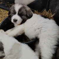 processed/8aec251f-c575-41e7-b689-87fd002f52c3/facility/f0f454d0-05a9-45bb-8a3f-bdbef4dc3d9e