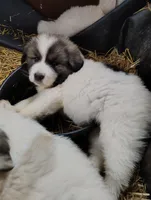 processed/8aec251f-c575-41e7-b689-87fd002f52c3/facility/f0f454d0-05a9-45bb-8a3f-bdbef4dc3d9e