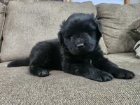 processed/8af99700-d033-4ad2-ba72-9b518c54e4b0/listing/197ee3ff-47bd-4358-9f24-c2e1a88962a8/5f46263b-8c70-4030-9f75-4de534c103c1