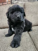 processed/8af99700-d033-4ad2-ba72-9b518c54e4b0/listing/197ee3ff-47bd-4358-9f24-c2e1a88962a8/677c8333-05da-4647-86a7-6f42a786bb8b