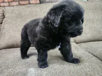 processed/8af99700-d033-4ad2-ba72-9b518c54e4b0/listing/197ee3ff-47bd-4358-9f24-c2e1a88962a8/a1ab8da9-5acb-47a4-8c81-2322efb5dc03