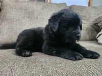 processed/8af99700-d033-4ad2-ba72-9b518c54e4b0/listing/197ee3ff-47bd-4358-9f24-c2e1a88962a8/a4260fa9-4f3d-4c66-ac48-62d4412dbf5c