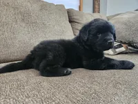 processed/8af99700-d033-4ad2-ba72-9b518c54e4b0/listing/197ee3ff-47bd-4358-9f24-c2e1a88962a8/b354b7b2-9467-4ec6-8878-1f440d888687