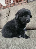 processed/8af99700-d033-4ad2-ba72-9b518c54e4b0/listing/197ee3ff-47bd-4358-9f24-c2e1a88962a8/e111be62-d456-4e45-b719-a5fb83e9f7c1