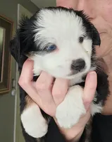 processed/8aff6e41-d026-4862-9c37-9628b3fb5b6d/listing/2773eb81-d73c-42d5-97fe-05e808068413/21e7170f-a82f-49c1-9a27-d352e67b9d13