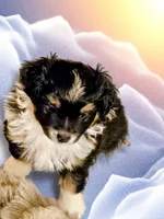 processed/8aff6e41-d026-4862-9c37-9628b3fb5b6d/listing/77baa4fd-8d9d-4ff7-936f-7c0f6c12aeac/5b89494d-87e4-4ceb-a0f1-92e6f78fed77