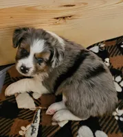 processed/8aff6e41-d026-4862-9c37-9628b3fb5b6d/listing/c273430e-93e3-4967-8b6e-7781e9036820/8bee2906-4f5a-4ded-a9c3-349ff6e8eb1a