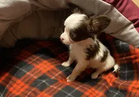 processed/8b020e0f-94c1-4117-acda-e0e8d551265e/listing/81179a85-ab71-4390-ab70-9fd73cd8dbed/13e36c96-a9b9-4856-b1d7-f44e5ebe6375