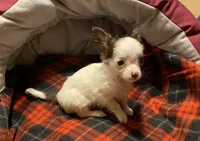 processed/8b020e0f-94c1-4117-acda-e0e8d551265e/listing/81179a85-ab71-4390-ab70-9fd73cd8dbed/2a0ea2f9-5157-4902-ac94-dc19f85c03fd