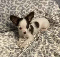 processed/8b020e0f-94c1-4117-acda-e0e8d551265e/listing/81179a85-ab71-4390-ab70-9fd73cd8dbed/6943acd9-4f16-41bd-bbf8-1f5c103850a5