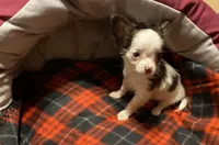 processed/8b020e0f-94c1-4117-acda-e0e8d551265e/listing/81179a85-ab71-4390-ab70-9fd73cd8dbed/695adbbf-ee47-41ef-a146-5ee2d1b8c970