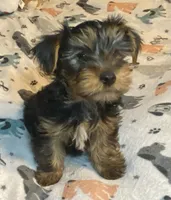 processed/8b020e0f-94c1-4117-acda-e0e8d551265e/listing/cffcc14c-c90f-40d6-8b35-6722108129d7/78632353-001f-48d5-a774-326dd06c9cb8