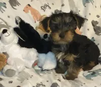 processed/8b020e0f-94c1-4117-acda-e0e8d551265e/listing/cffcc14c-c90f-40d6-8b35-6722108129d7/e431bde5-68db-4010-9a65-9573c23218e8