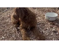 processed/8b0a1377-13e6-4f7f-9ead-fe7604edc172/listing/c4f72f30-129f-49c1-af30-0f9329171e35/d3d1ac32-e9be-4a03-b899-435265003df8