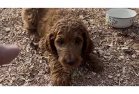 processed/8b0a1377-13e6-4f7f-9ead-fe7604edc172/listing/c4f72f30-129f-49c1-af30-0f9329171e35/f9151e13-b515-4825-b706-609098b6a291