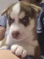 processed/8b0d62db-d3b6-4b1c-bf3a-6b4665e3d43c/listing/6b14fa50-272d-4149-8f18-a8c0372618a4/fdbc35c9-e9c2-4706-96f5-009774f92be0