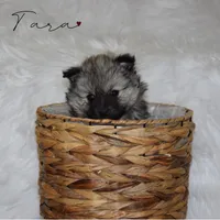 processed/8b0e24bf-bdff-425a-abb3-7819aa9d418f/listing/1f9e9e70-2094-44a3-9ba6-975726497309/0c8bb566-3d8b-4ca4-b876-b285802c4085