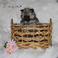 processed/8b0e24bf-bdff-425a-abb3-7819aa9d418f/listing/1f9e9e70-2094-44a3-9ba6-975726497309/44c019b2-07aa-429f-8393-c5047ee44e66