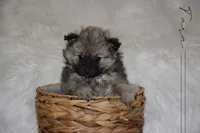 processed/8b0e24bf-bdff-425a-abb3-7819aa9d418f/listing/1f9e9e70-2094-44a3-9ba6-975726497309/5e1bb6e0-2b53-4ec5-b08b-4b30ae3727a9