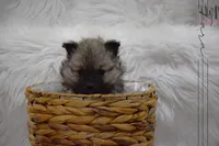 processed/8b0e24bf-bdff-425a-abb3-7819aa9d418f/listing/1f9e9e70-2094-44a3-9ba6-975726497309/5fe65ee9-f3d5-42b6-89db-4da3a40d6e0b