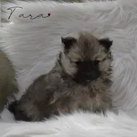 processed/8b0e24bf-bdff-425a-abb3-7819aa9d418f/listing/1f9e9e70-2094-44a3-9ba6-975726497309/a0ba5241-0b97-481b-b175-e24c55544b72