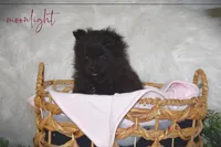 processed/8b0e24bf-bdff-425a-abb3-7819aa9d418f/listing/653f6e74-8780-4581-aae0-78f63d26dd53/5d743317-6c3b-487e-9d09-e2c1a7ffd961