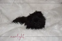 processed/8b0e24bf-bdff-425a-abb3-7819aa9d418f/listing/653f6e74-8780-4581-aae0-78f63d26dd53/6d18f11e-1ffa-4b3f-b99c-9186df6b0b29