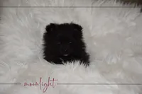 processed/8b0e24bf-bdff-425a-abb3-7819aa9d418f/listing/653f6e74-8780-4581-aae0-78f63d26dd53/7f9a45bd-c4b4-48e9-ba1c-22fece3ef971