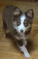 processed/8b0e711a-47c5-4923-96d3-8f3416a7a44d/listing/4400a601-7742-4577-b3c1-dfd7d71c21bc/44824234-4a81-4fd0-b8fa-2b31ae086c7f