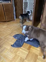 processed/8b0e711a-47c5-4923-96d3-8f3416a7a44d/listing/4400a601-7742-4577-b3c1-dfd7d71c21bc/a8adc097-fd1c-4639-8865-fd2a18608232