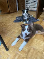 processed/8b0e711a-47c5-4923-96d3-8f3416a7a44d/listing/4400a601-7742-4577-b3c1-dfd7d71c21bc/ff7521be-a618-452b-bed7-0817e8dd4a04