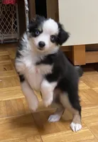 processed/8b0e711a-47c5-4923-96d3-8f3416a7a44d/listing/73872820-5d22-4387-8ea7-4f8dc30b574b/7ddfdc6d-0190-42ae-8da8-7a55cc3300f9