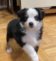 processed/8b0e711a-47c5-4923-96d3-8f3416a7a44d/listing/73872820-5d22-4387-8ea7-4f8dc30b574b/8aa2d595-a0e5-4939-81d9-452393dcf51c