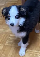 processed/8b0e711a-47c5-4923-96d3-8f3416a7a44d/listing/73872820-5d22-4387-8ea7-4f8dc30b574b/a6f99f22-5de3-4c06-86f3-2dff8cfc3b3c