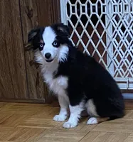 processed/8b0e711a-47c5-4923-96d3-8f3416a7a44d/listing/73872820-5d22-4387-8ea7-4f8dc30b574b/c21db891-0267-41d1-9348-fdc671479ca9