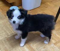 processed/8b0e711a-47c5-4923-96d3-8f3416a7a44d/listing/73872820-5d22-4387-8ea7-4f8dc30b574b/ec43a109-4d3b-4fee-af1b-a280c045ad92