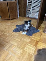 processed/8b0e711a-47c5-4923-96d3-8f3416a7a44d/listing/8542f0e7-a175-4f3c-b78e-cffa5167d06d/123ba0fa-0935-45a2-b764-ba9bdd304ec9