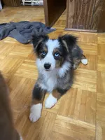 processed/8b0e711a-47c5-4923-96d3-8f3416a7a44d/listing/8542f0e7-a175-4f3c-b78e-cffa5167d06d/36e39076-c668-4c78-9394-2100d19c6986