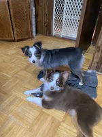 processed/8b0e711a-47c5-4923-96d3-8f3416a7a44d/listing/8542f0e7-a175-4f3c-b78e-cffa5167d06d/3ba0fc3e-8dfc-4001-8222-f0ffff84ea29