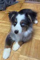 processed/8b0e711a-47c5-4923-96d3-8f3416a7a44d/listing/8542f0e7-a175-4f3c-b78e-cffa5167d06d/84234521-a6ed-4bbd-9717-8743b8f423cf