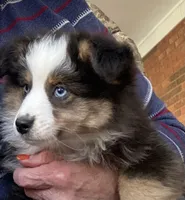 processed/8b0e711a-47c5-4923-96d3-8f3416a7a44d/listing/8542f0e7-a175-4f3c-b78e-cffa5167d06d/8a49df13-48d5-4f8f-b9fd-c73929e8b884