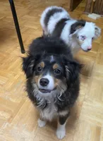 processed/8b0e711a-47c5-4923-96d3-8f3416a7a44d/listing/a3ef77b9-a87f-4025-a32b-a2a437c7b158/35530cd9-5dc3-4cf1-bf41-3c3c1d271b65