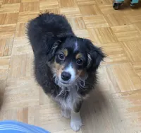 processed/8b0e711a-47c5-4923-96d3-8f3416a7a44d/listing/a3ef77b9-a87f-4025-a32b-a2a437c7b158/b5ba9c25-7f2c-4c29-9800-976021a99033