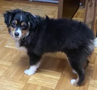 processed/8b0e711a-47c5-4923-96d3-8f3416a7a44d/listing/a3ef77b9-a87f-4025-a32b-a2a437c7b158/b9e93472-dc87-4de0-97d6-5f066ce8cad9