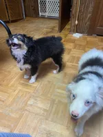 processed/8b0e711a-47c5-4923-96d3-8f3416a7a44d/listing/a3ef77b9-a87f-4025-a32b-a2a437c7b158/c88440ce-673a-46ce-9625-710a6a4d2398